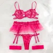 Lace embroidery alluring erotic set